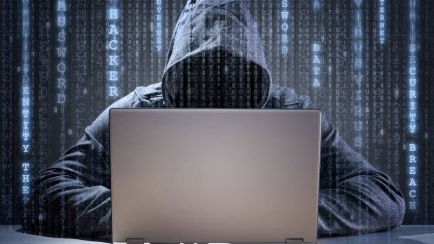 绵阳小程序开发公司：构建企业数字化转型的坚实基石